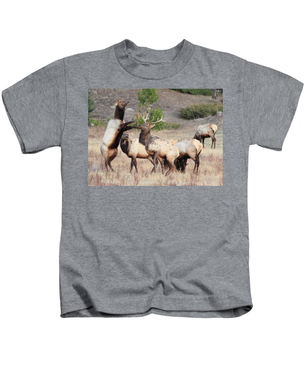 Elk Kids T-Shirt featuring the photograph Put Up Your Dukes by Shane Bechler