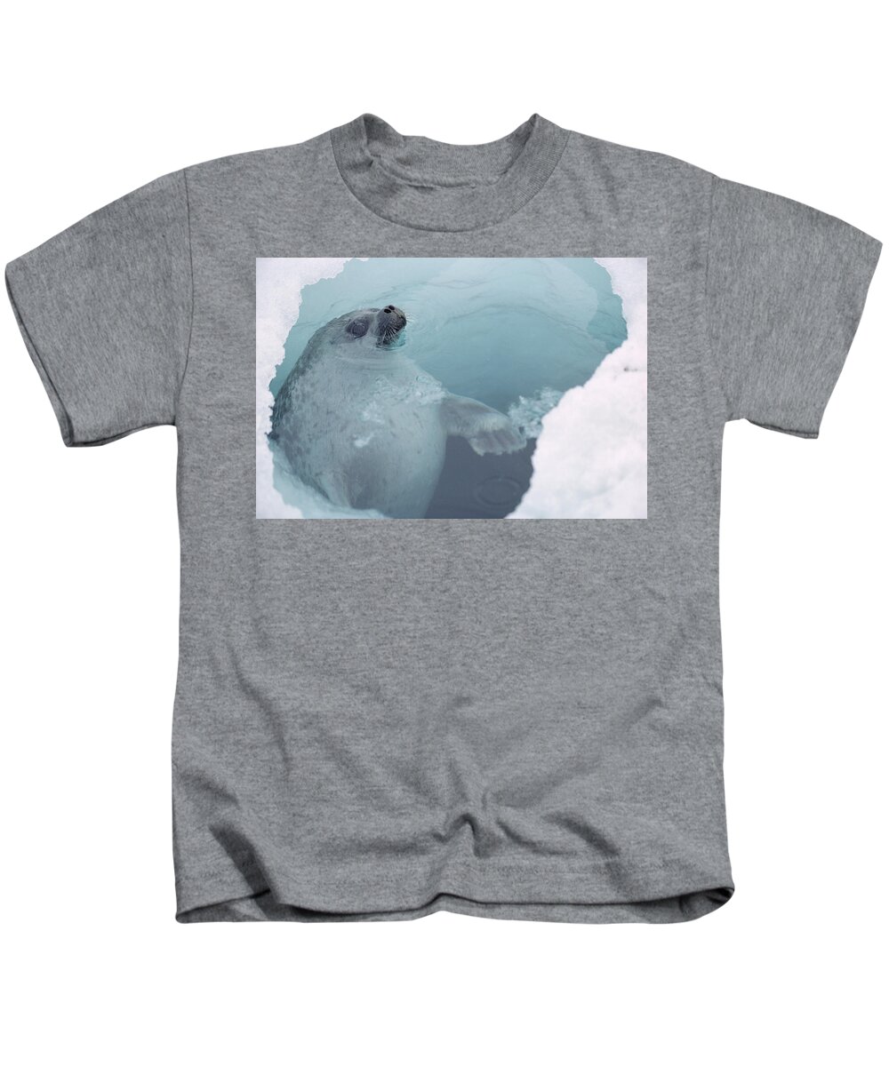 00084545 Kids T-Shirt featuring the photograph Ringed Seal At Breathing Hole Arctic by Flip Nicklin