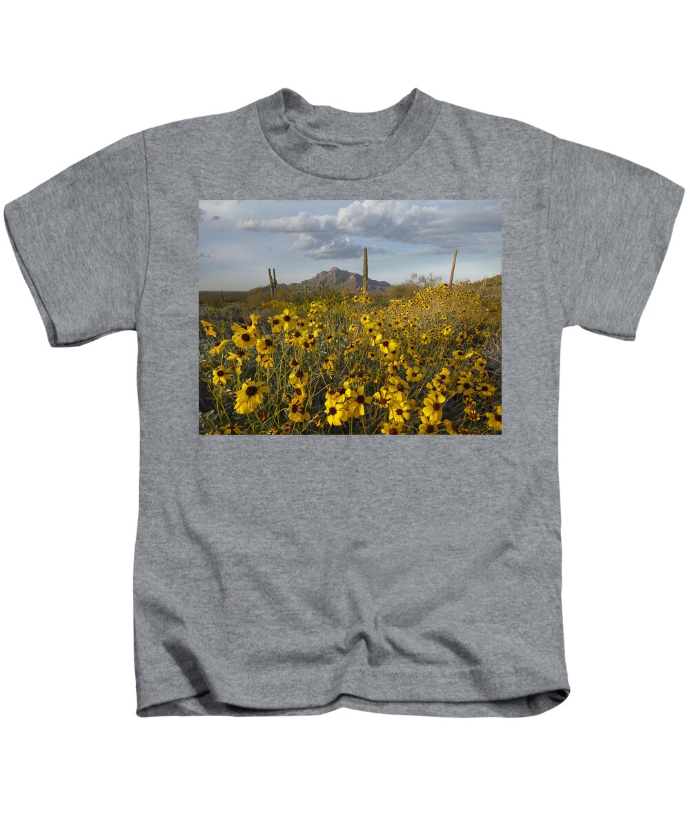 00443057 Kids T-Shirt featuring the photograph Saguaro Cacti And Brittlebush by Tim Fitzharris