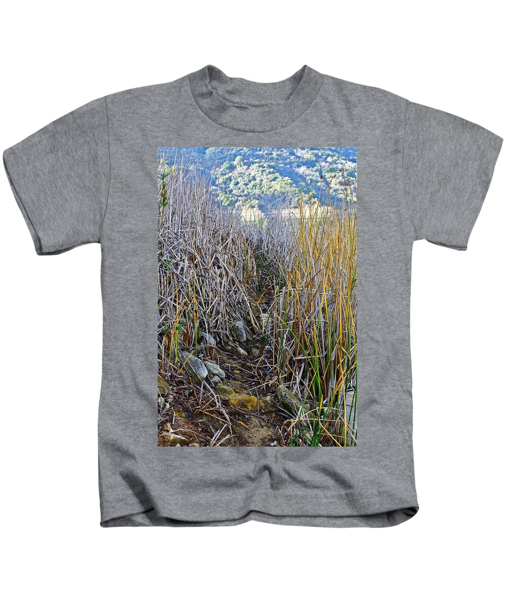 Lake Kids T-Shirt featuring the photograph Shoreline Path by Diana Hatcher