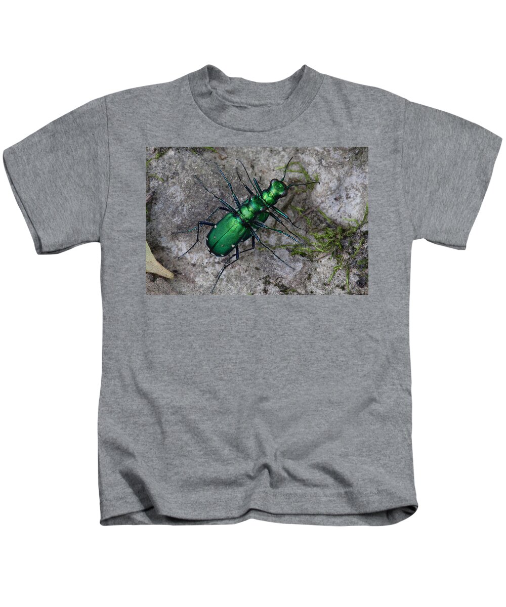 Cicindela Sexguttata Kids T-Shirt featuring the photograph Six-Spotted Tiger Beetles Copulating by Daniel Reed