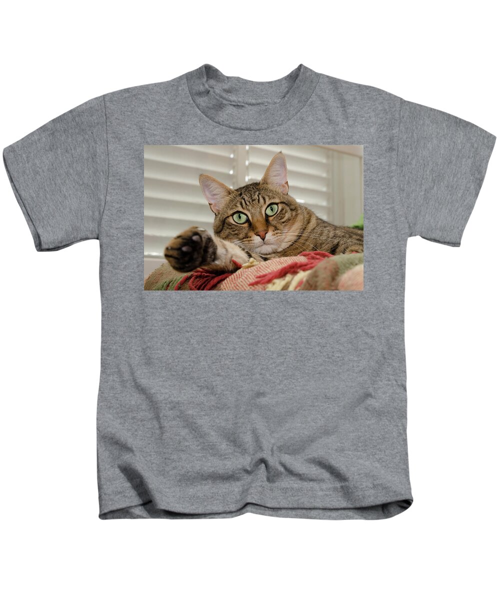 Cat Kids T-Shirt featuring the photograph The cat with green eyes by Michael Goyberg