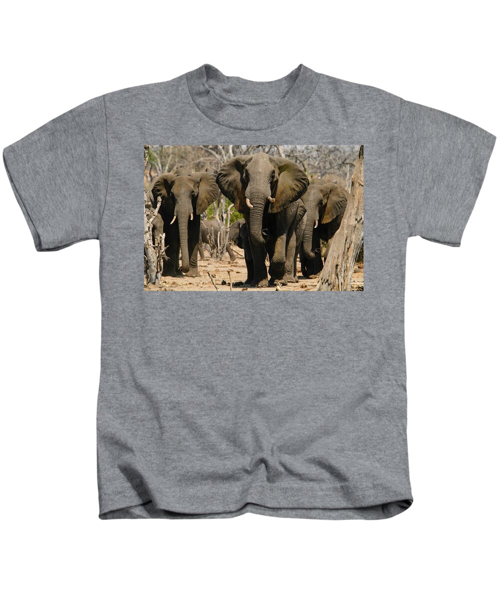 Action Kids T-Shirt featuring the photograph The herd by Alistair Lyne