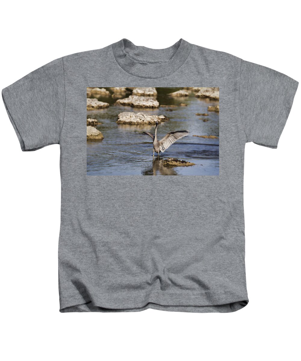 Reef Egret Kids T-Shirt featuring the photograph The Water Dance V4 by Douglas Barnard