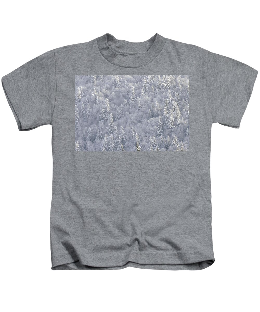 00173357 Kids T-Shirt featuring the photograph Winter Forest British Columbia Canada by Tim Fitzharris