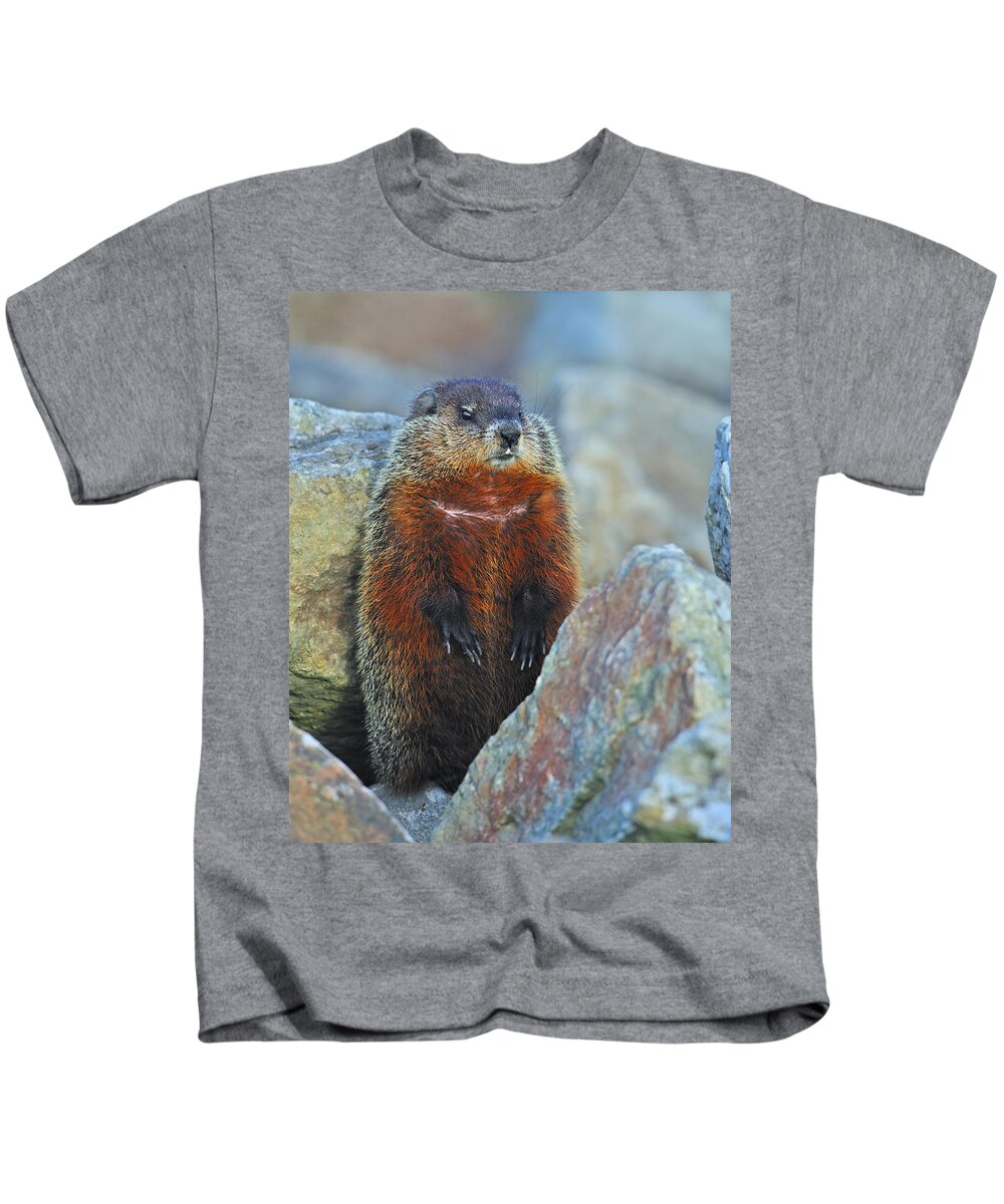 Groundhog Kids T-Shirt featuring the photograph Woodchuck by Tony Beck