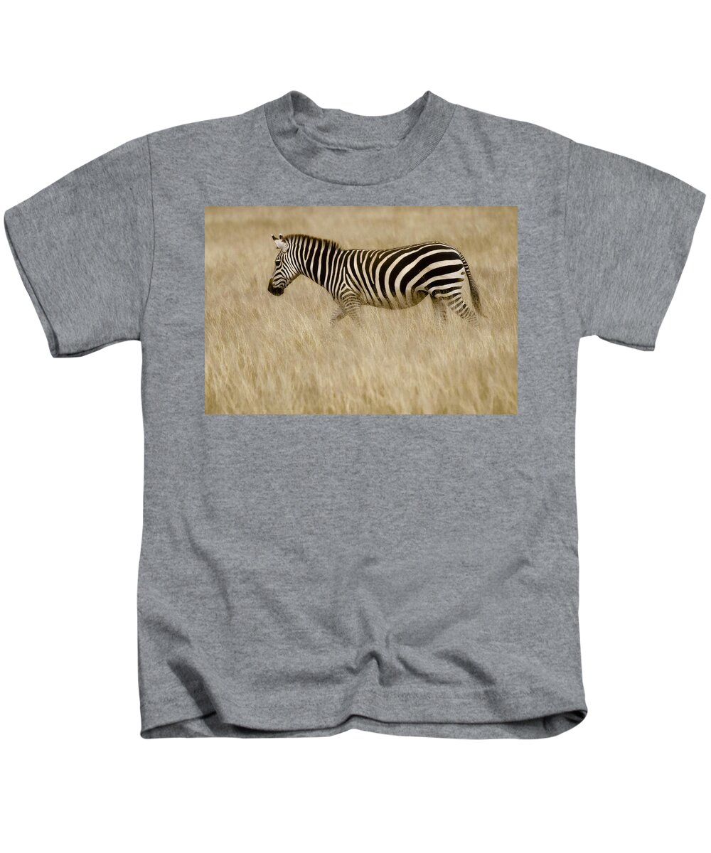 Africa Kids T-Shirt featuring the photograph Zebra in Grasses 2 by Jack Daulton