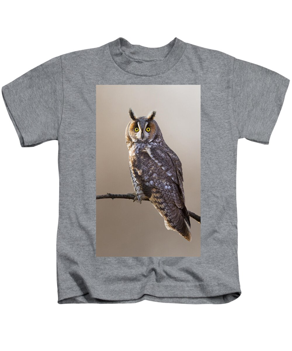 Bird Kids T-Shirt featuring the photograph Long-eared Owl #1 by Mircea Costina Photography