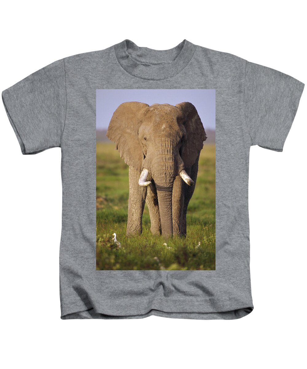 Mp Kids T-Shirt featuring the photograph African Elephant Loxodonta Africana #1 by Gerry Ellis