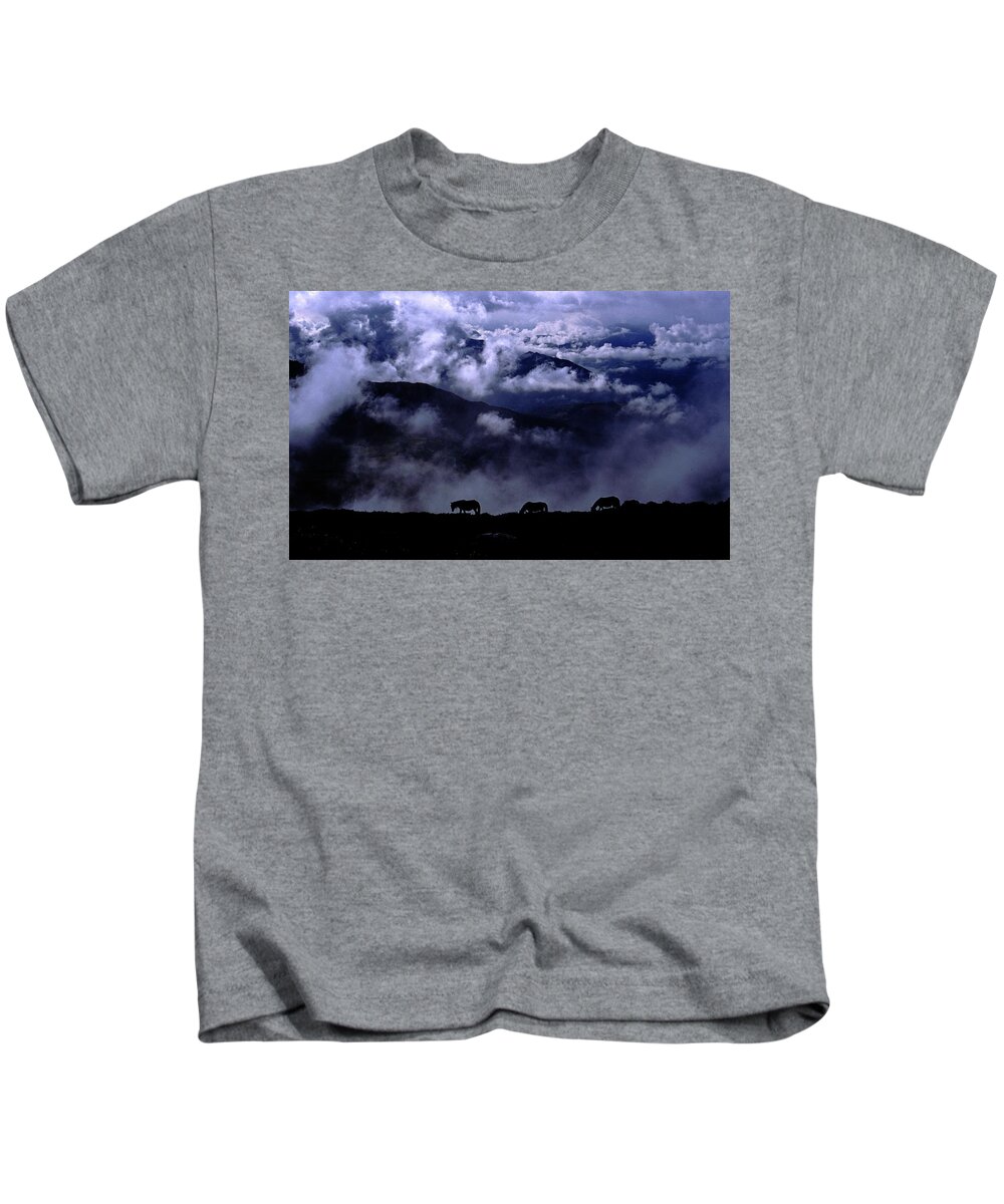 Wild Horses Asturias Asturcones Blue Monochrome Cloudscape Mountains Spain Kids T-Shirt featuring the photograph Asturcones #1 by Ian Sanders