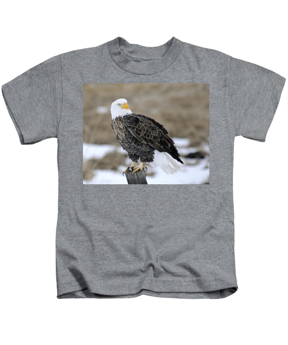 Bald Eagle Kids T-Shirt featuring the photograph Bald Eagle #1 by Gary Beeler