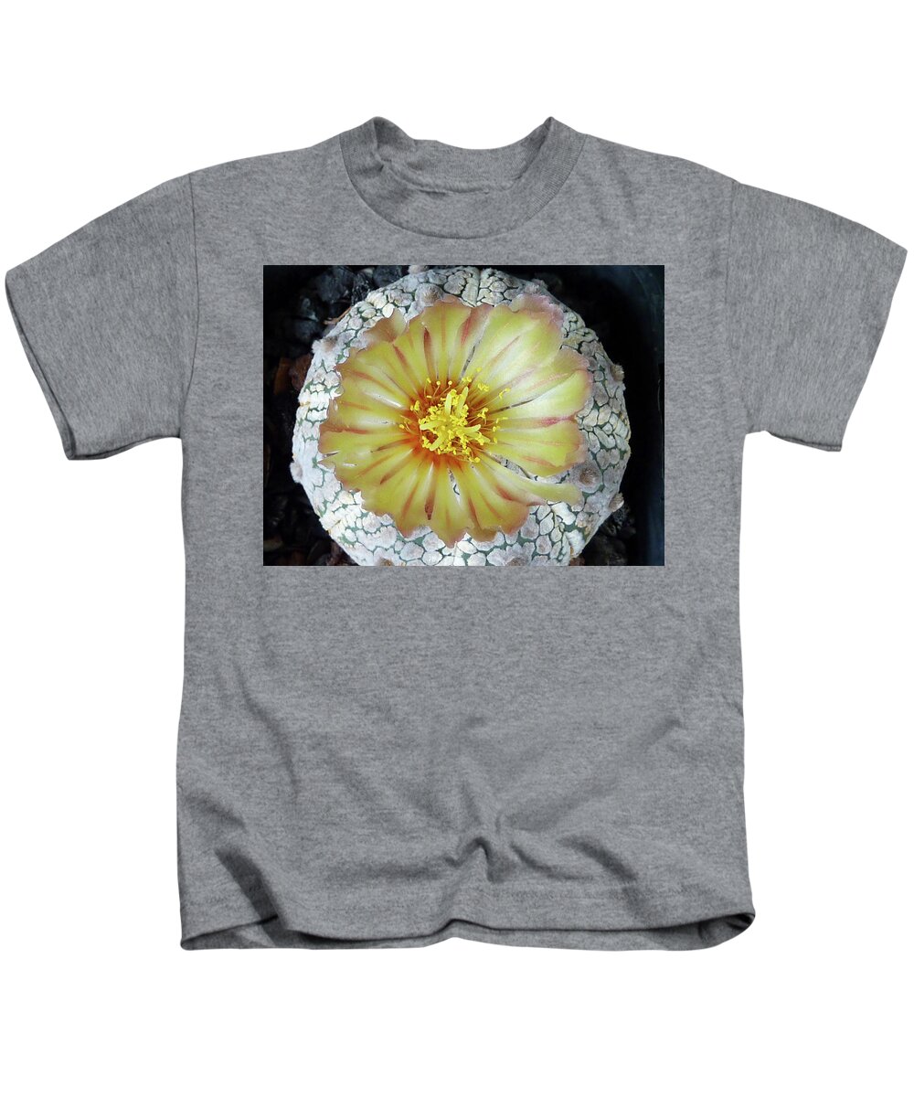 Cactus Kids T-Shirt featuring the photograph Cactus Flower 2 #2 by Selena Boron
