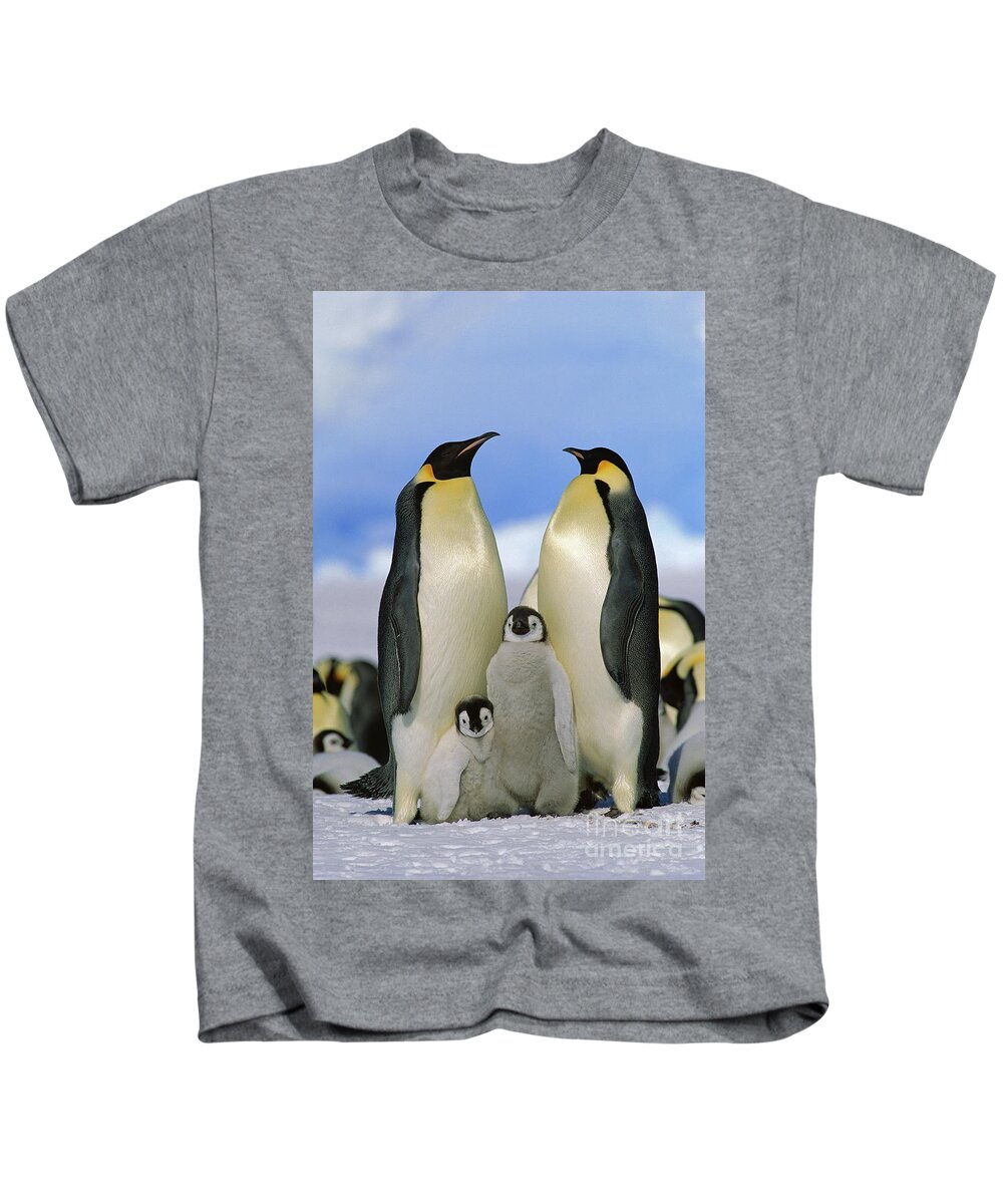 Mp Kids T-Shirt featuring the photograph Emperor Penguin Family #2 by Konrad Wothe