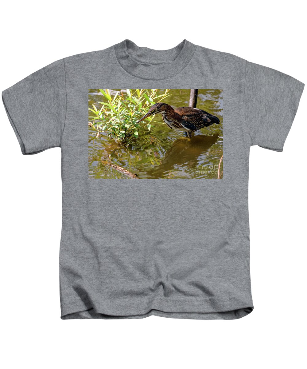 Green Heron Kids T-Shirt featuring the photograph Green heron fishing #1 by Sam Rino