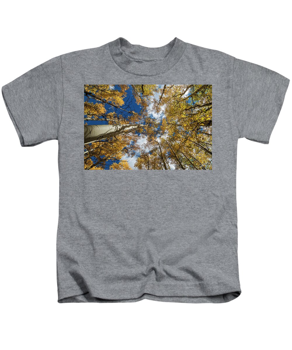 Tree Kids T-Shirt featuring the photograph Looking up #2 by Jeff Niederstadt