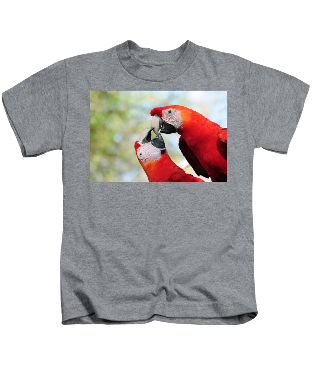 Bird Kids T-Shirt featuring the photograph Macaws #1 by Steven Sparks