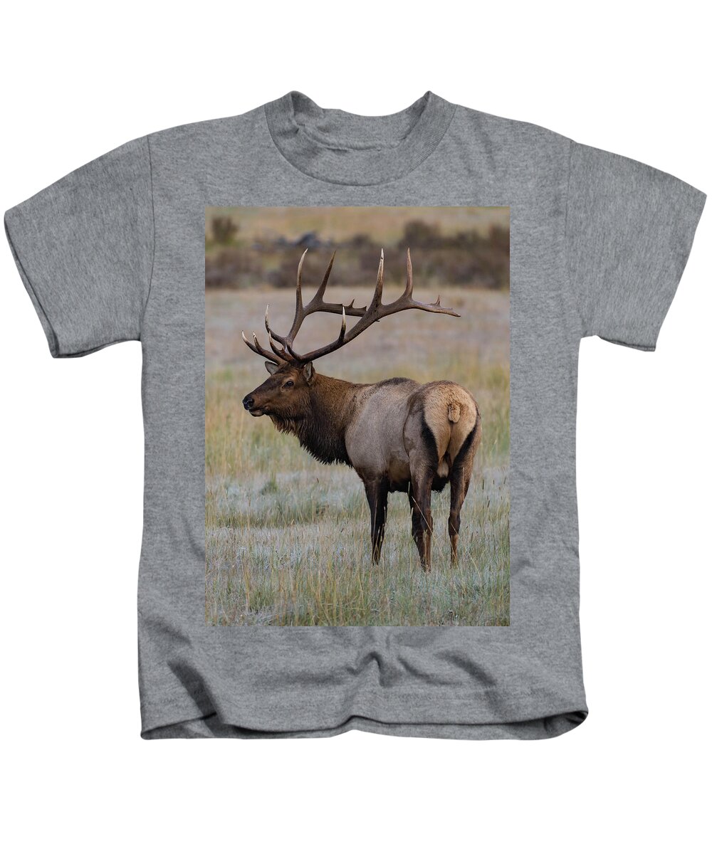 Colorado Kids T-Shirt featuring the photograph The Bull #1 by Jody Partin