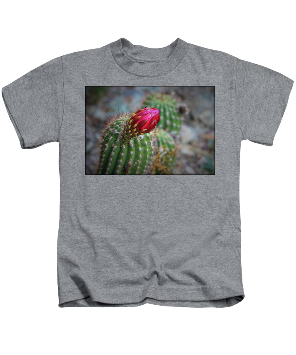Plants Kids T-Shirt featuring the photograph Torch Cacti #1 by Elaine Malott