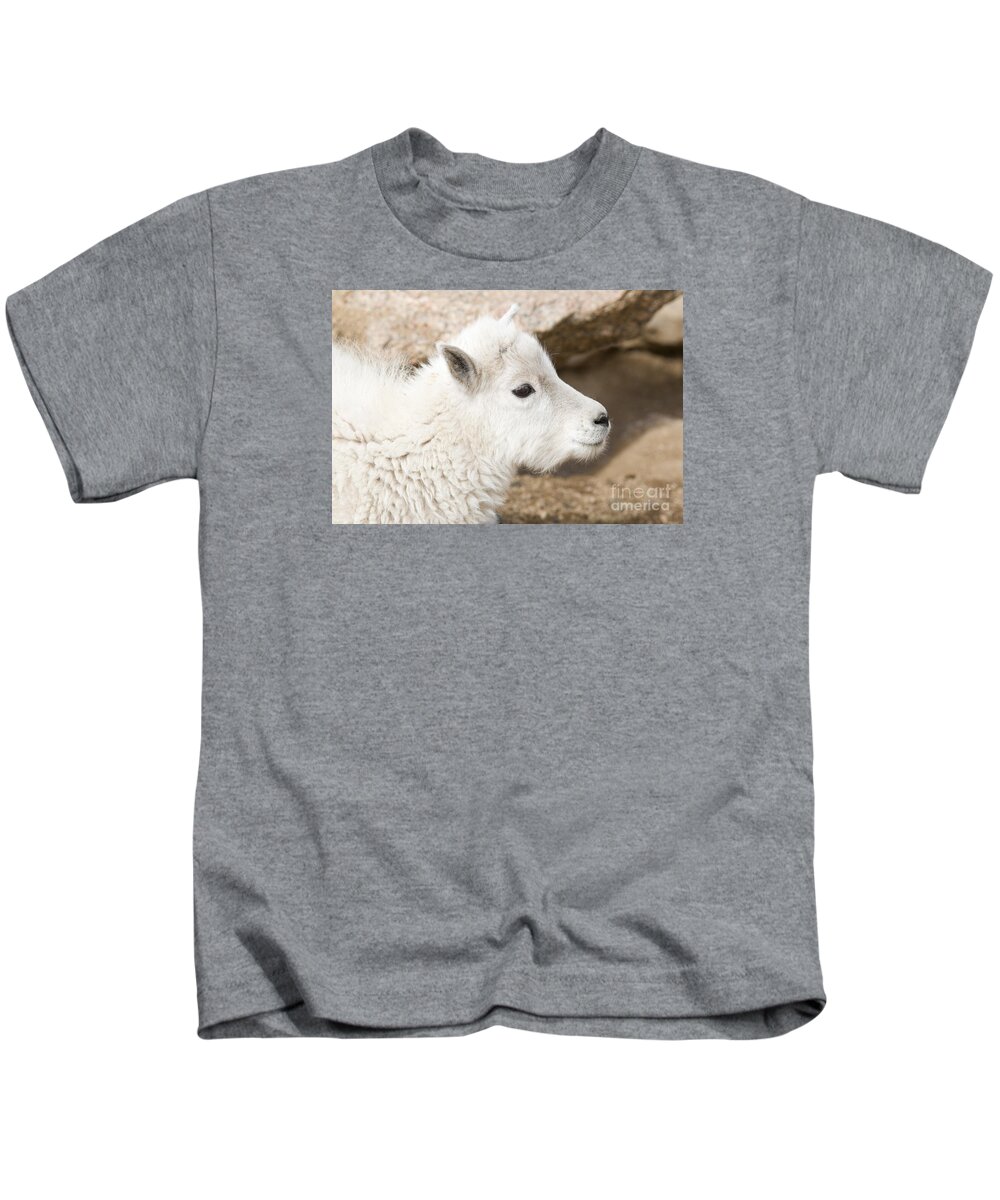 Goat Kids T-Shirt featuring the photograph Baby Mountain Goats on Mount Evans #15 by Steven Krull