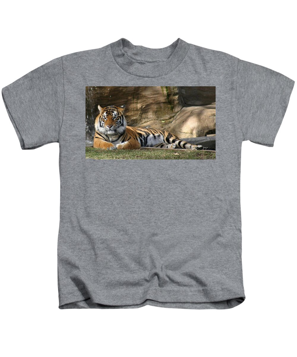 Tiger Kids T-Shirt featuring the photograph Tiger #16 by Jackie Russo