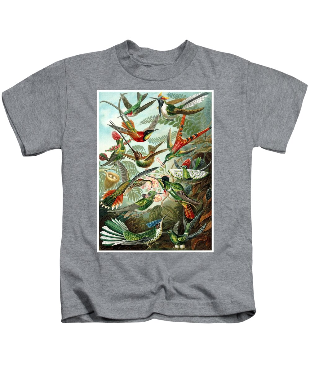 Hummingbird Kids T-Shirt featuring the digital art 1899 Hummingbird Species Art Forms of Nature Print by Retro Graphics