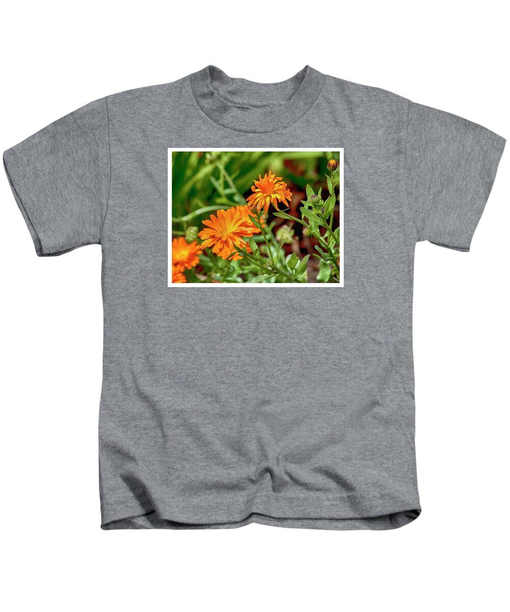 Zinnia Kids T-Shirt featuring the photograph Zinnia Blossoms #2 by Margie Wildblood