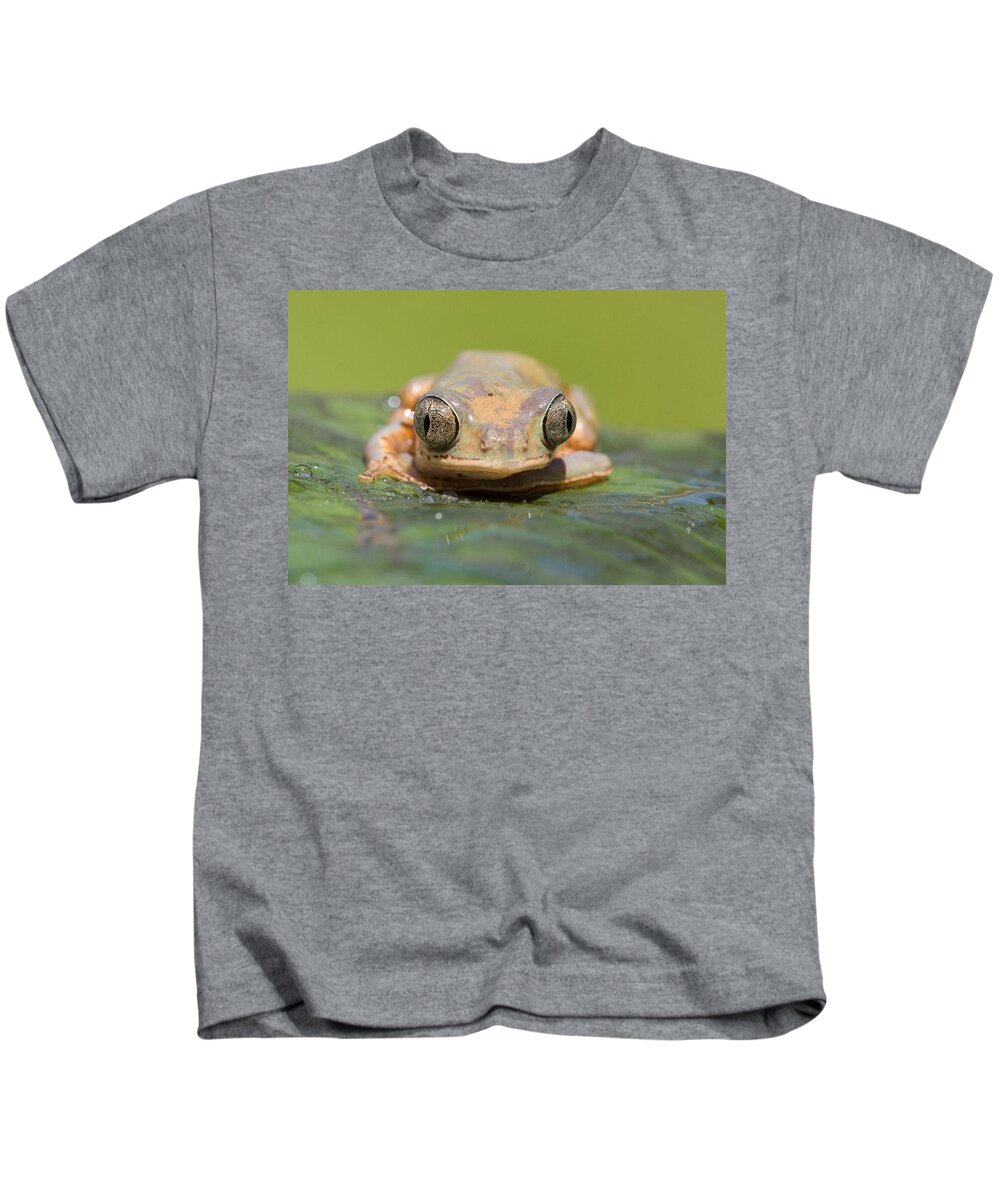 Frog Kids T-Shirt featuring the photograph Frog #20 by Mariel Mcmeeking