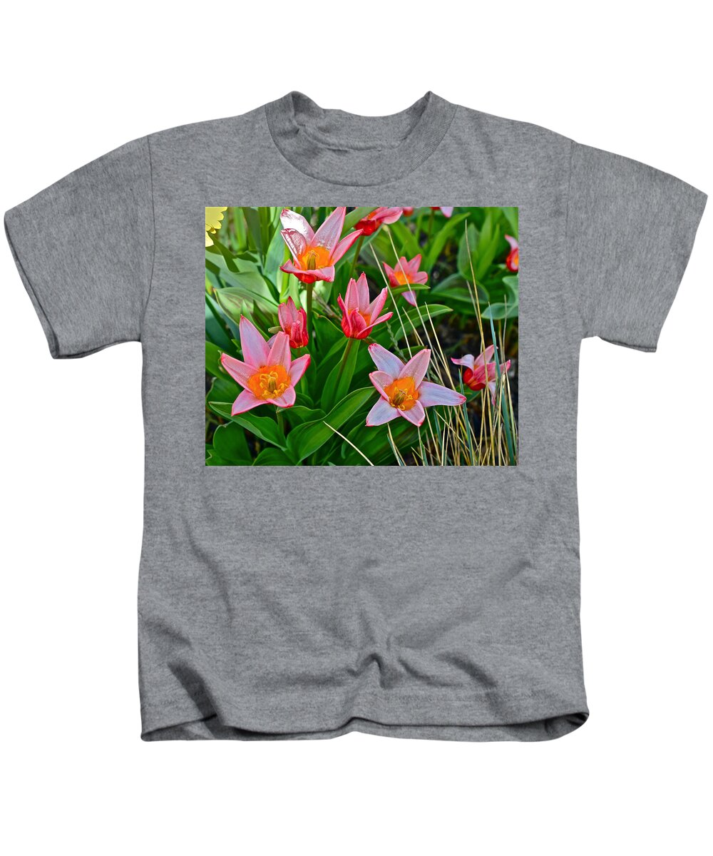 Tulips Kids T-Shirt featuring the photograph 2016 Acewood Tulips 2 by Janis Senungetuk