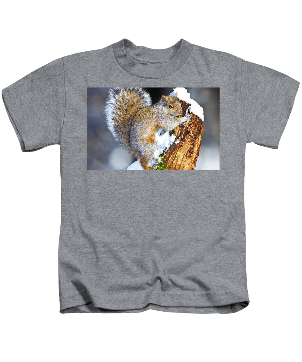 Squirrel Kids T-Shirt featuring the digital art Squirrel #3 by Maye Loeser