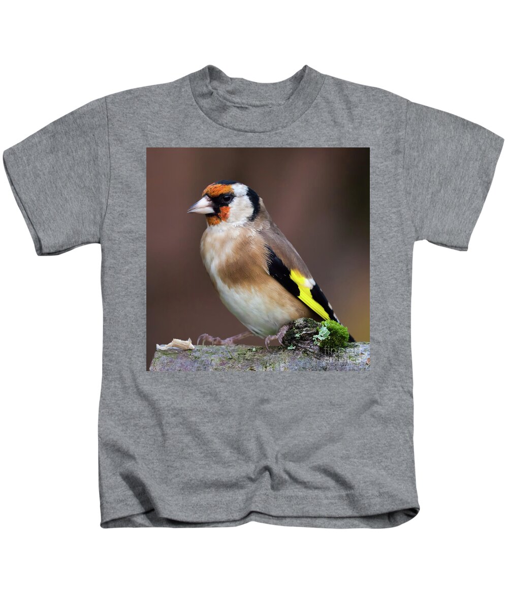 Goldfinch Kids T-Shirt featuring the photograph European goldfinch bird close up  #5 by Simon Bratt