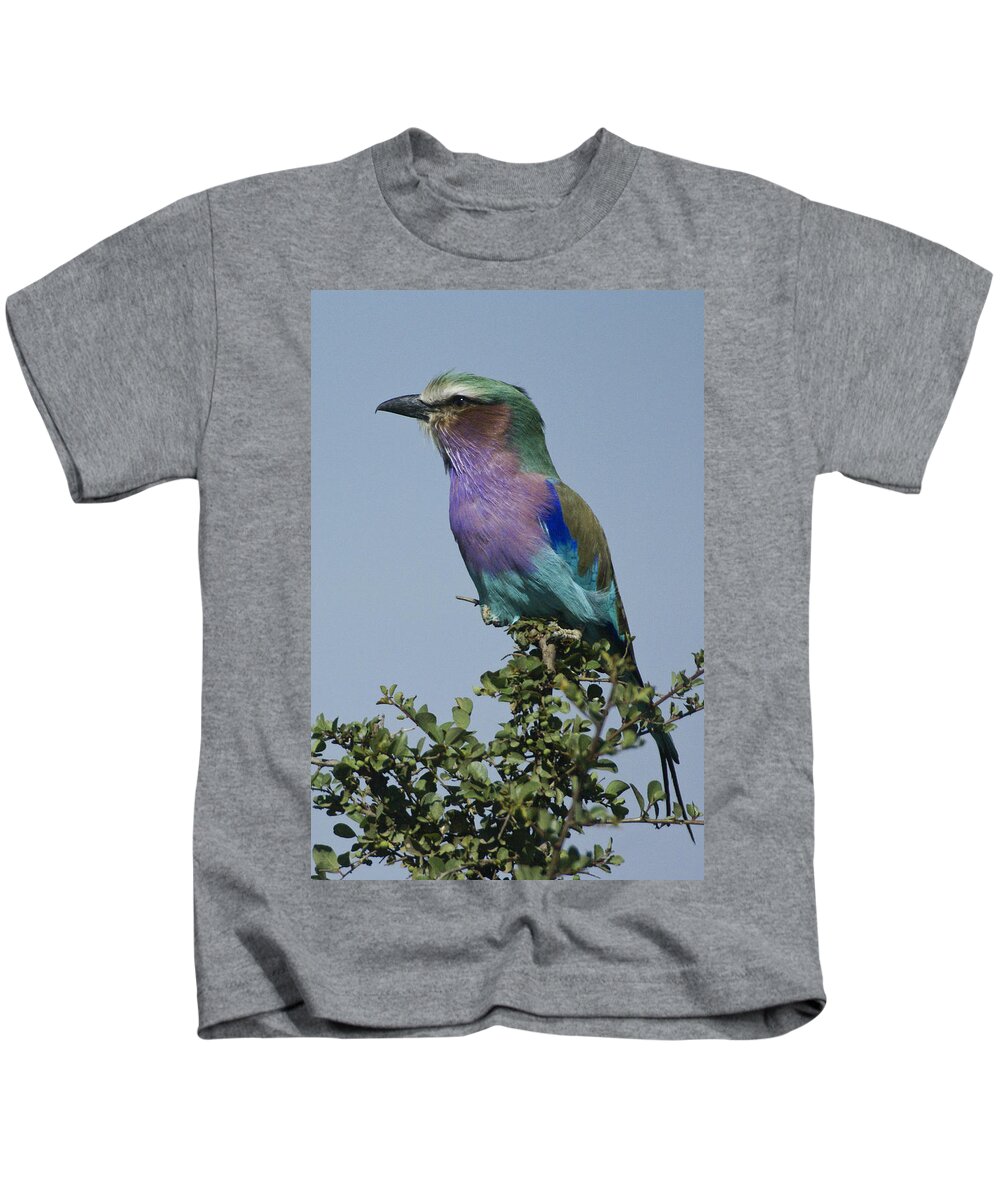 Africa Kids T-Shirt featuring the photograph Lilac-Breasted Roller #5 by Michele Burgess