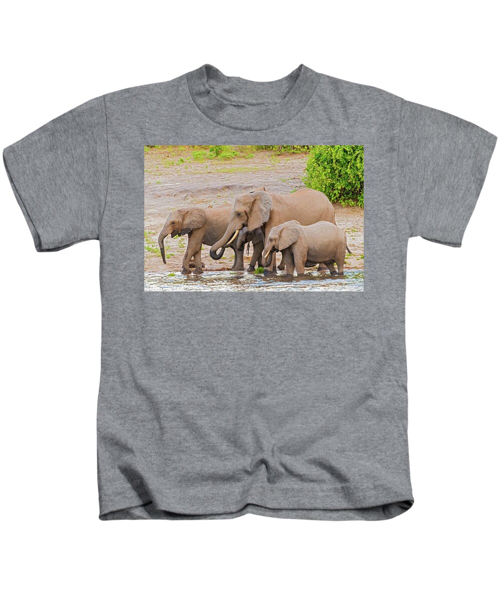 Chobe River Kids T-Shirt featuring the photograph Elephants at the bank of Chobe river in Botswana #7 by Marek Poplawski
