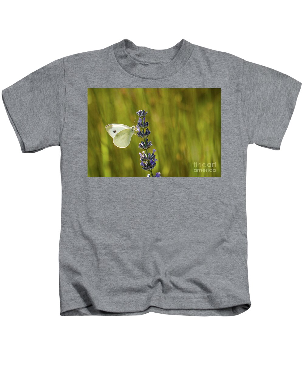 Animal Kids T-Shirt featuring the photograph Pieris brassicae, the large white, also called cabbage butterfly by Amanda Mohler