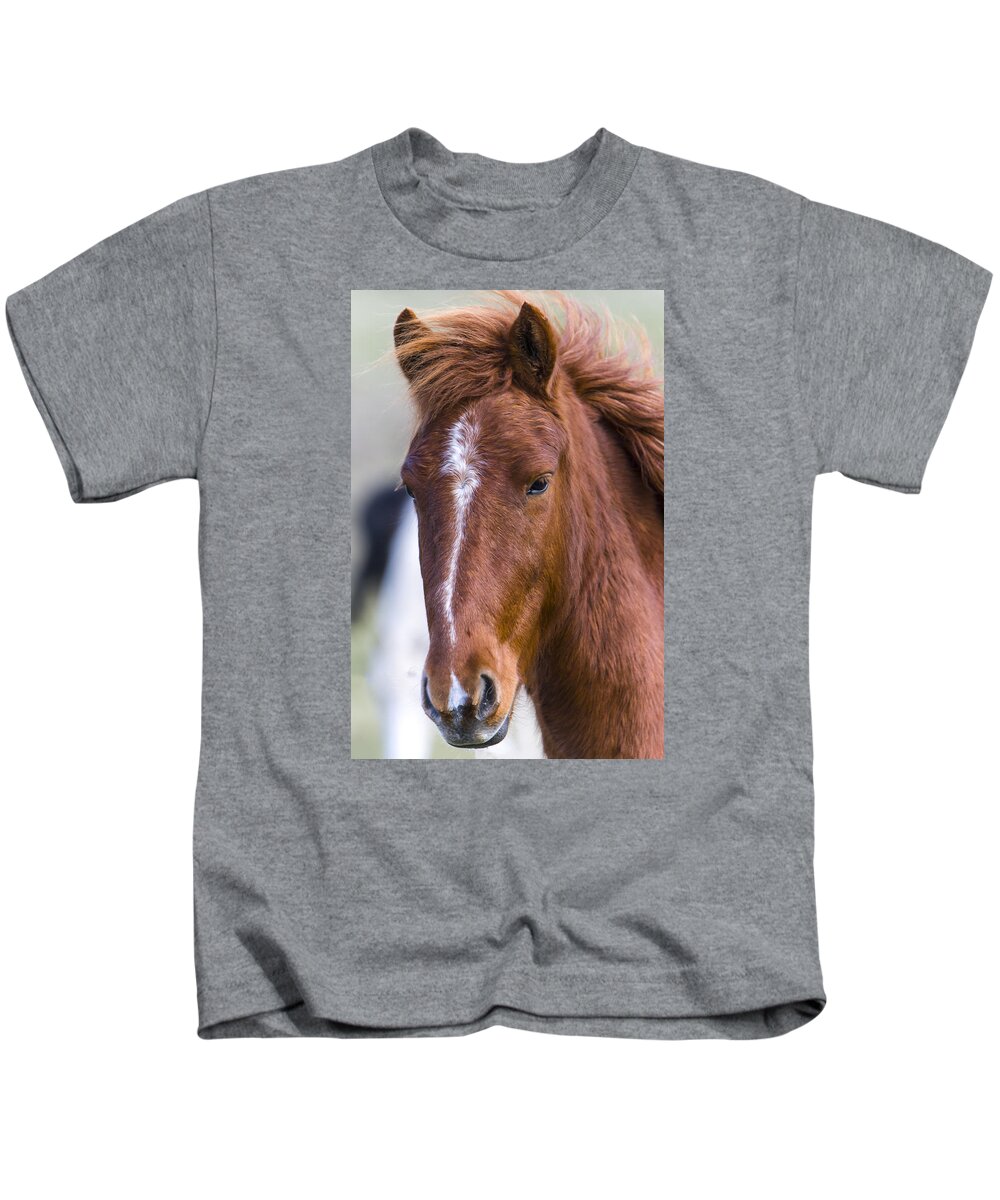 Chestnut Horse Kids T-Shirt featuring the photograph A Chestnut Horse portrait by Andy Myatt