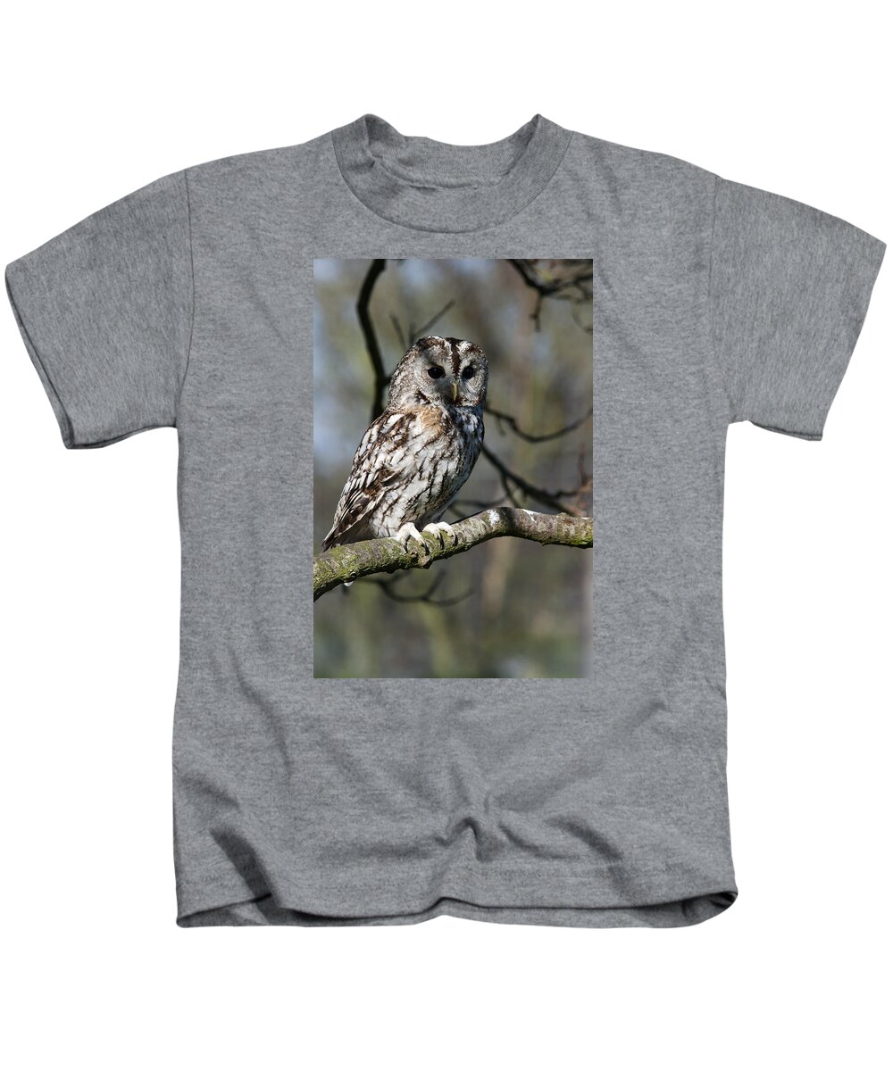 Tawny Owl Kids T-Shirt featuring the photograph A Tawny Owl by Andy Myatt