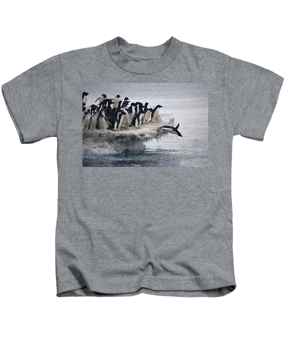 Mp Kids T-Shirt featuring the photograph Adelie Penguin Pygoscelis Adeliae by Tui De Roy