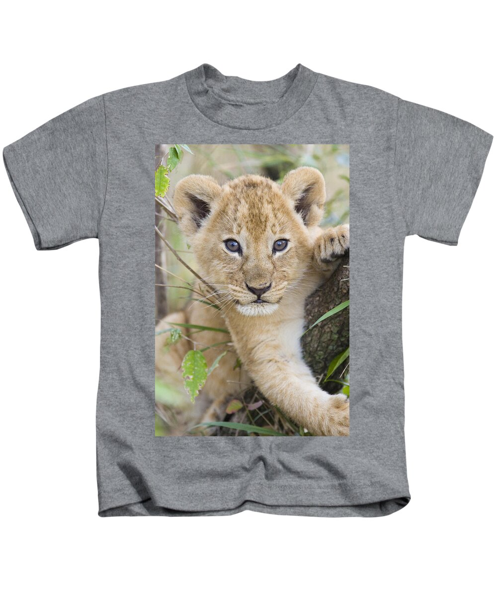 00761284 Kids T-Shirt featuring the photograph African Lion Cub Kenya by Suzi Eszterhas