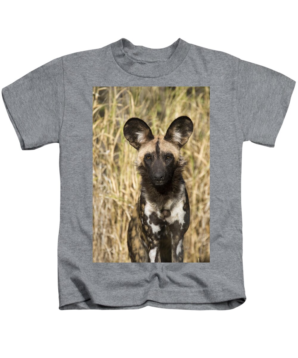 00426044 Kids T-Shirt featuring the photograph African Wild Dog Okavango Delta Botswana by Suzi Eszterhas