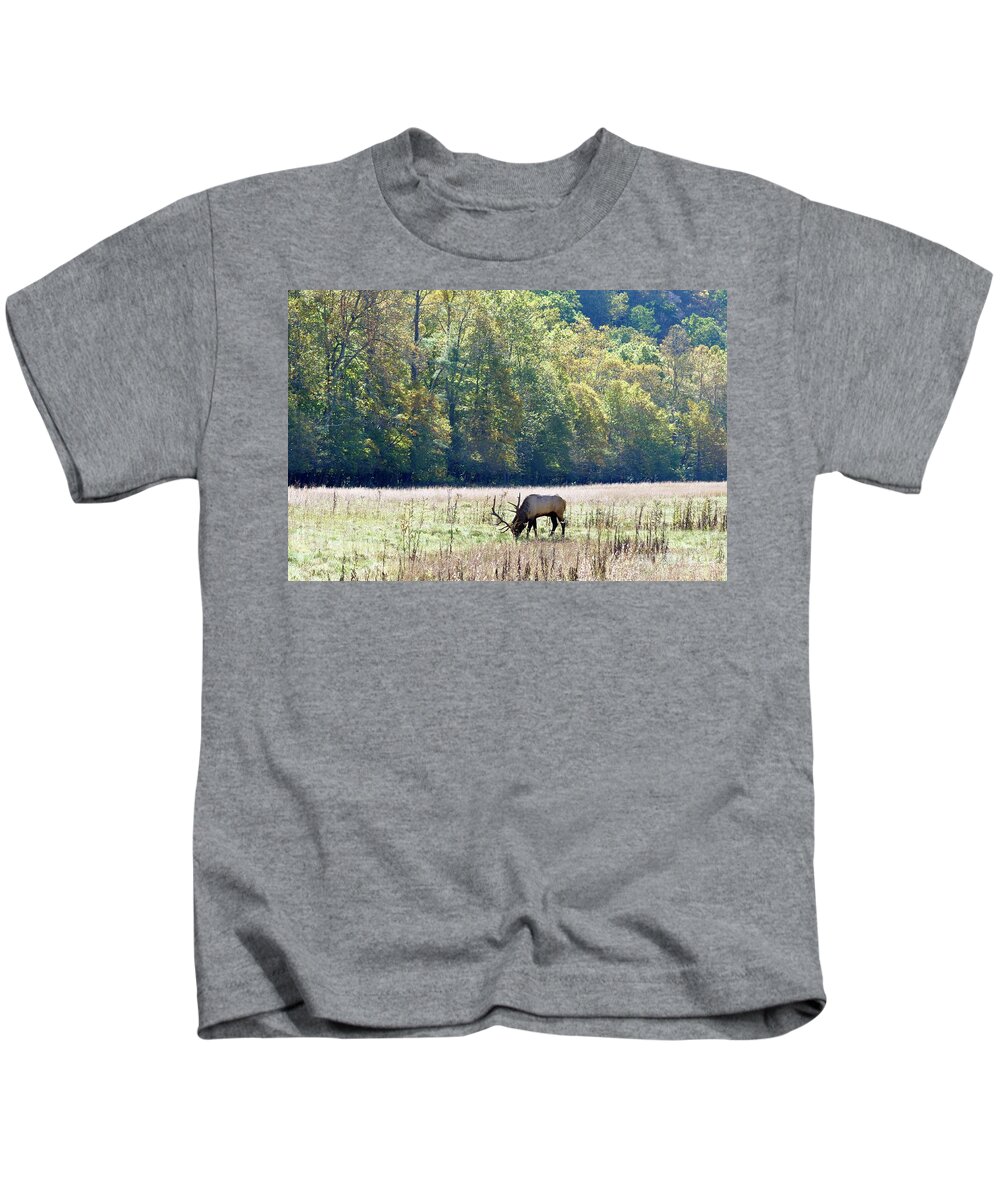 Elk Kids T-Shirt featuring the photograph Afternoon Graze by Christina McKinney