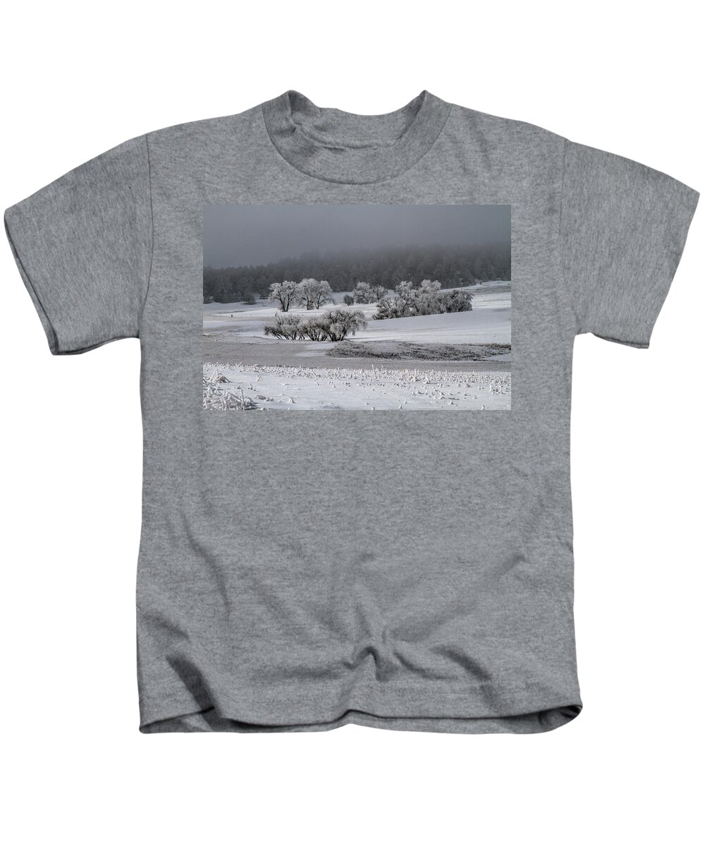 Winter Kids T-Shirt featuring the photograph An Affair of Cottonwoods by Alana Thrower