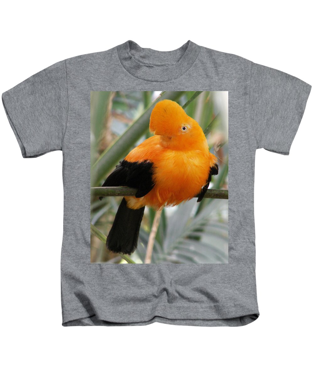 Bird Kids T-Shirt featuring the photograph Andean Cock of the Rock by Amy Fose