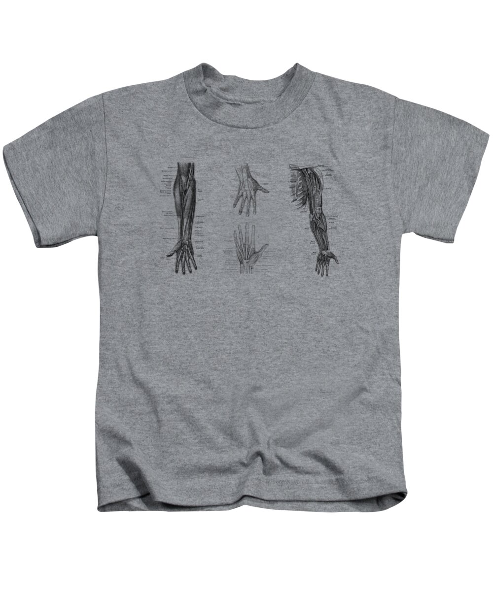 Arm Anatomy Kids T-Shirt featuring the drawing Complete Arm and Hand Diagram - Vintage Anatomy Print by Vintage Anatomy Prints