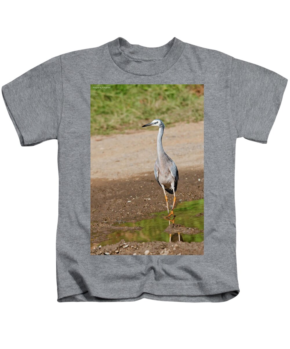 Australian White Faced Heron Kids T-Shirt featuring the digital art Australian white faced heron 00671 by Kevin Chippindall