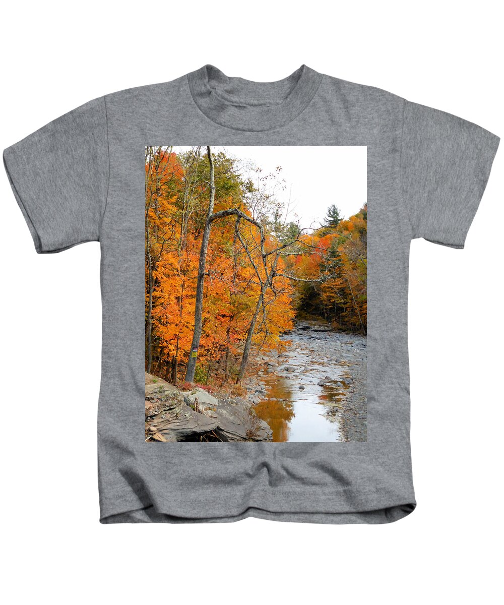 Autumn Creek Kids T-Shirt featuring the painting Autumn creek 11 by Jeelan Clark