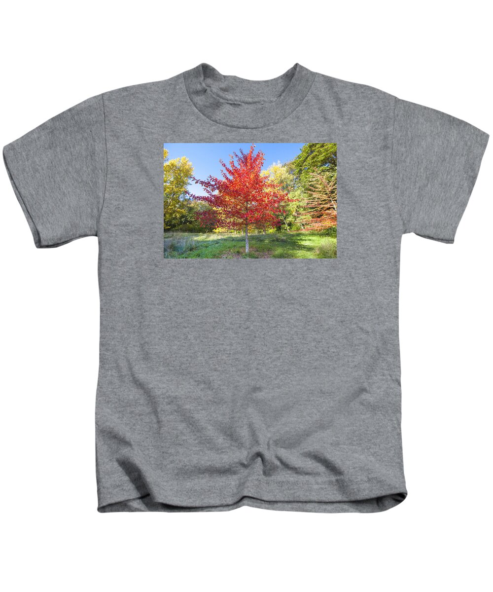 Seattle Kids T-Shirt featuring the photograph Autumn Has Arrived in Seattle by Matt McDonald