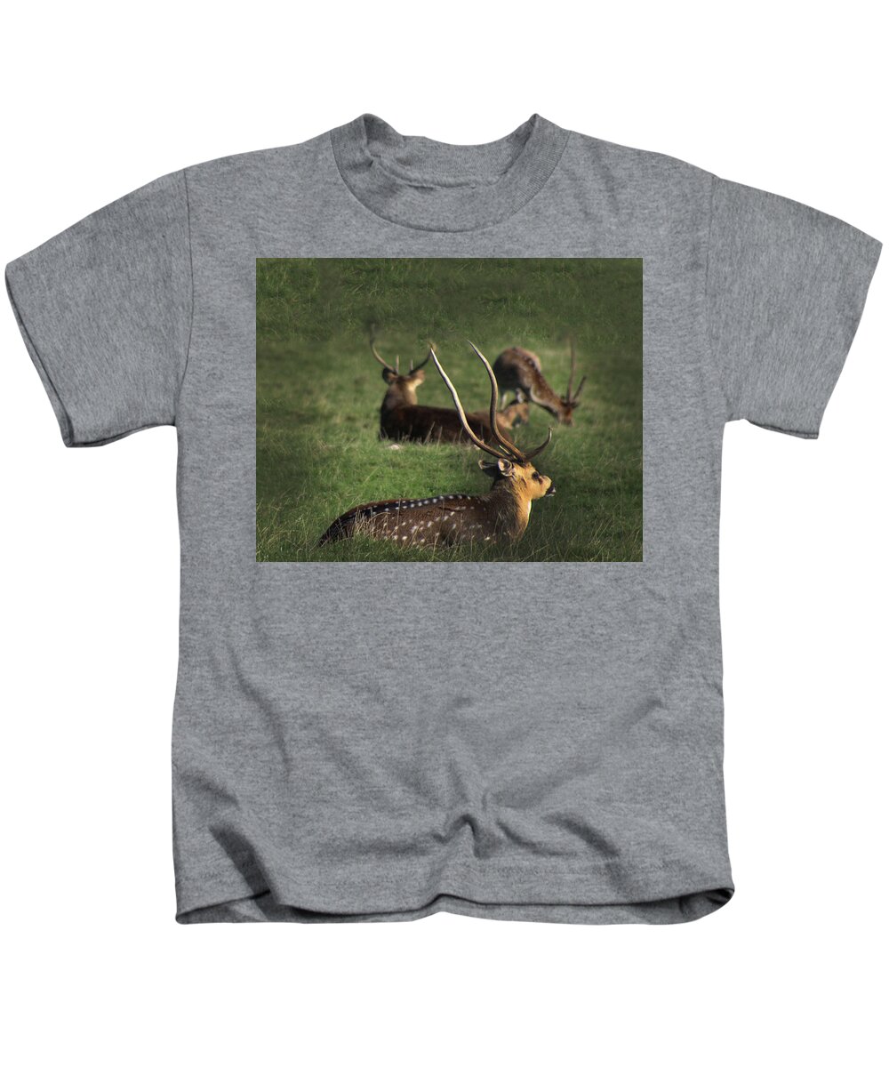 Wildlife Kids T-Shirt featuring the photograph Long Horn Chital Deer by Doc Braham