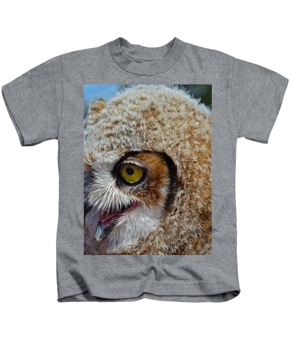 Birds Kids T-Shirt featuring the photograph Baby Owl by Diana Hatcher