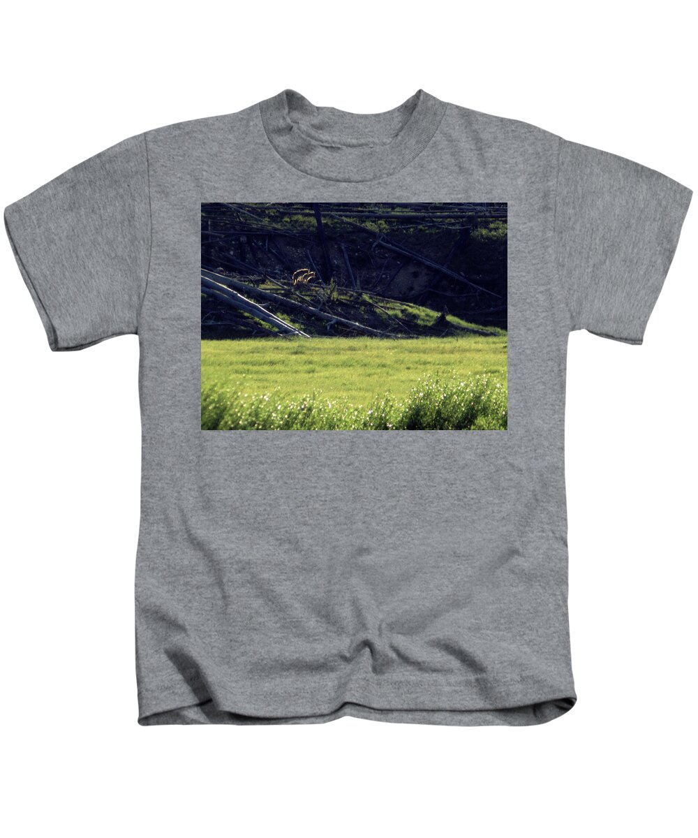Backlit Kids T-Shirt featuring the photograph Backlit Coyotes by Ted Keller