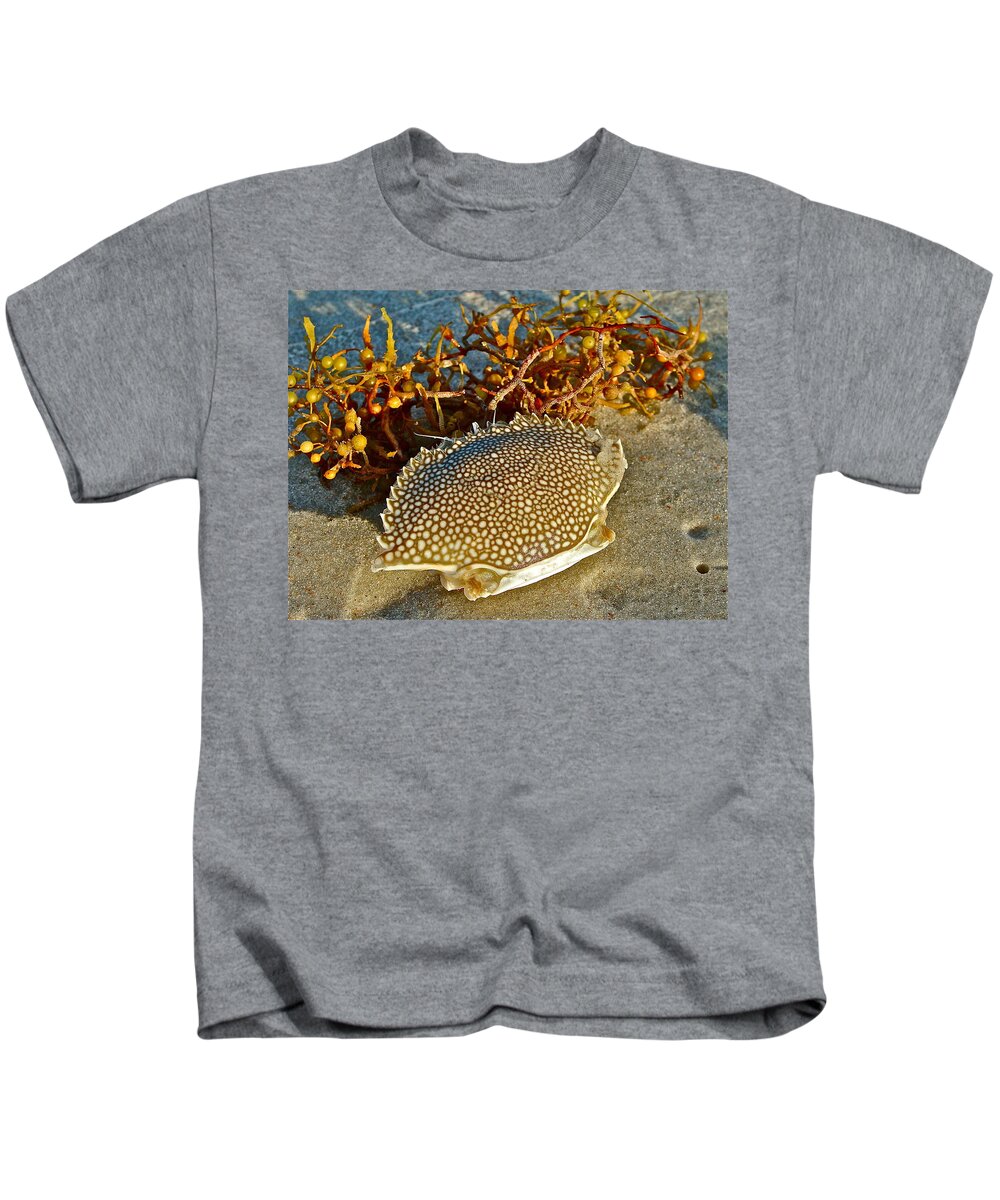 Sea Kids T-Shirt featuring the photograph Beach Combing by Diana Hatcher