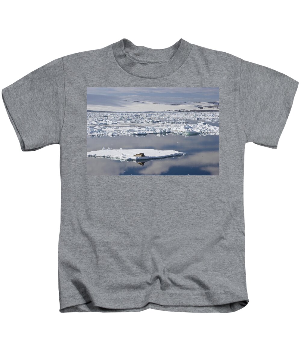 Mp Kids T-Shirt featuring the photograph Bearded Seal Erignathus Barbatus On Ice by Konrad Wothe